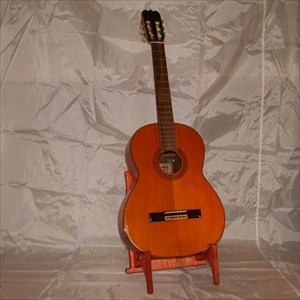  "Bridge" style guitar instrument stand